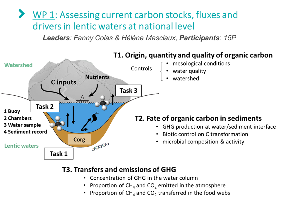 WP1 conceptual scheme